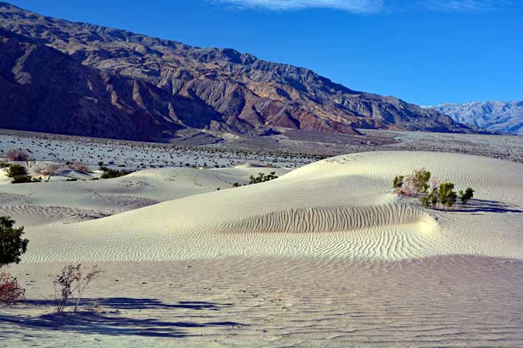 sand dunes